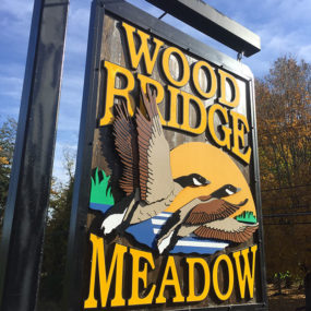 woodbridge_meadows