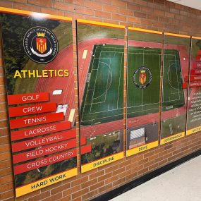 Gwynedd Sports Wall Display Gwynedd Sports Wall Display